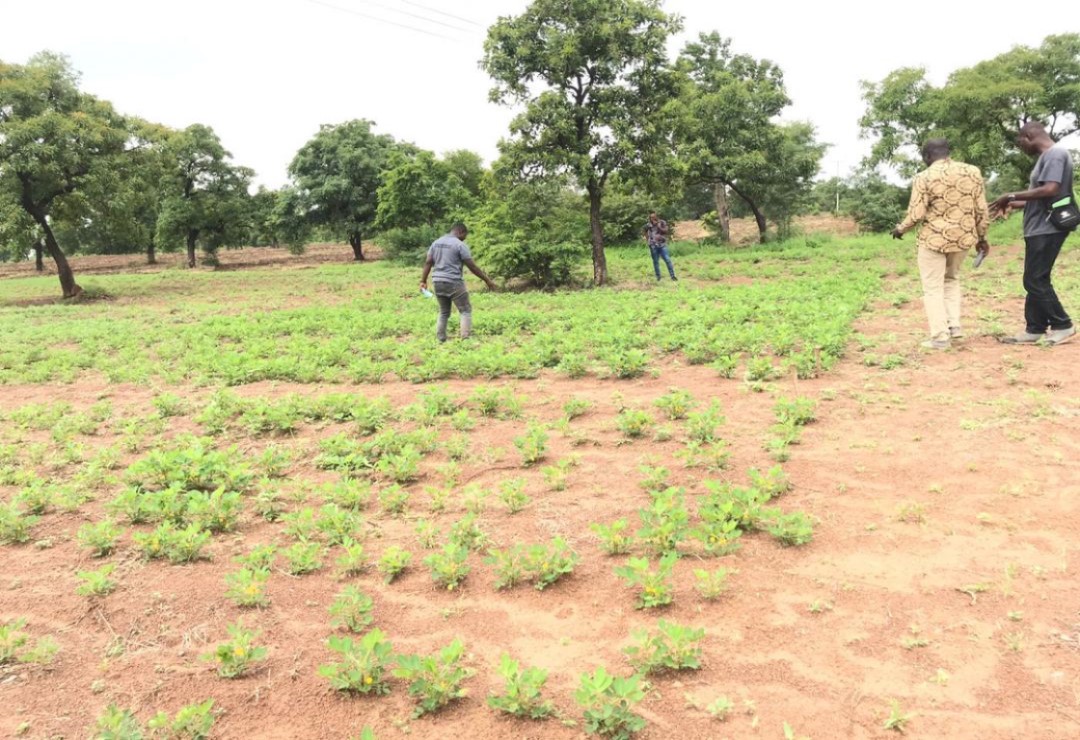 EXECUTIVE DIRECTOR OF URBANET GHANA PAYS WORK VISIT TO DEMONSTRATION FIELD