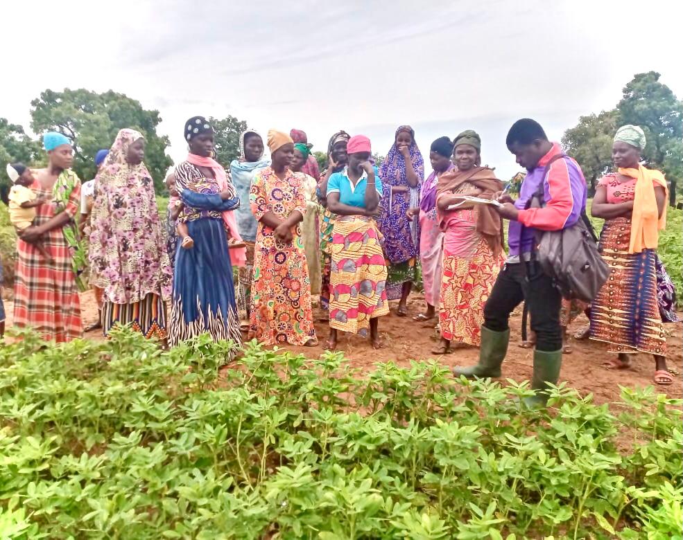 GREATER RURAL OPPORTUNITIES FOR WOMEN 2 (GROW2) PROJECT